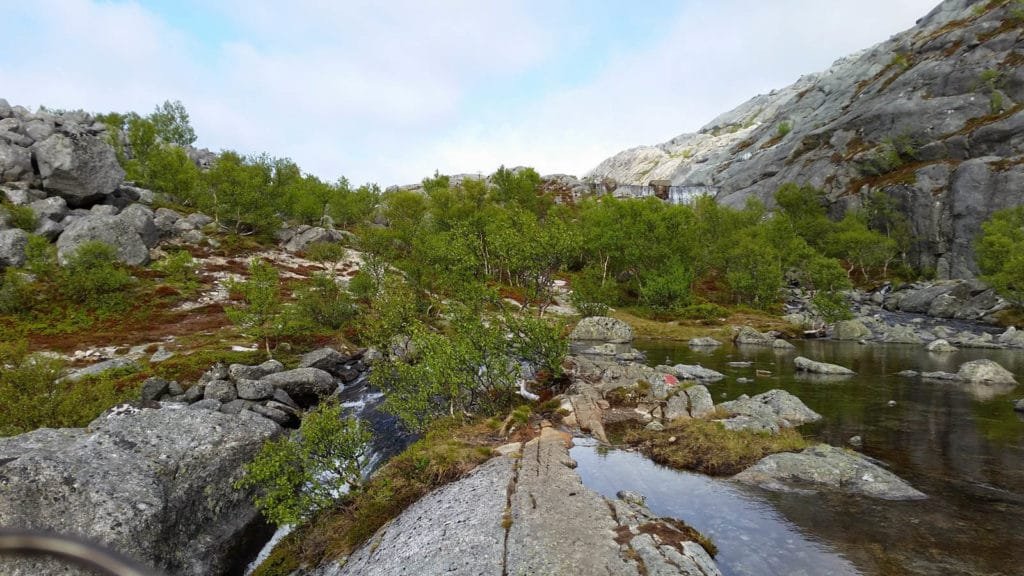 Fjellsåsvannet