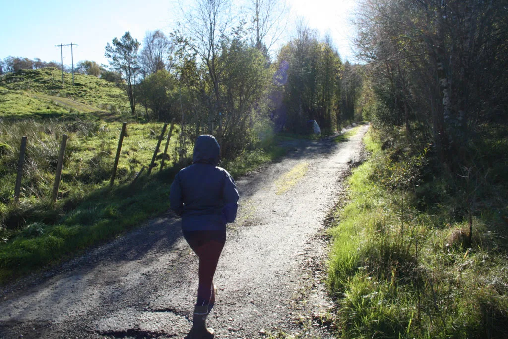 Namtveittjørna