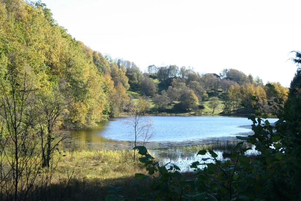 Namtveittjørna