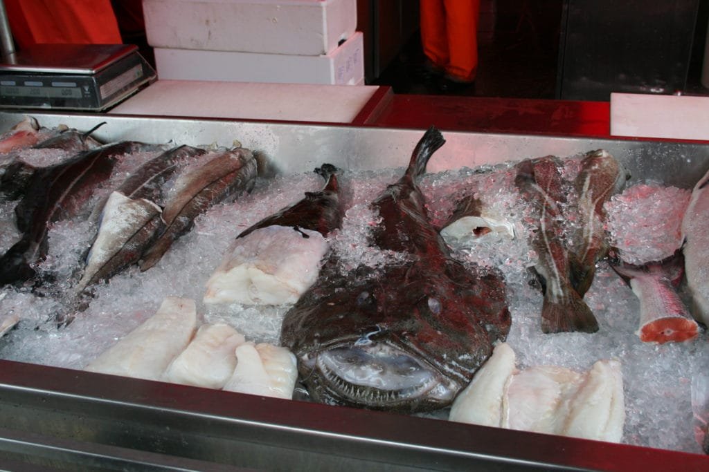 Breiflabb på fisketorget i Bergen