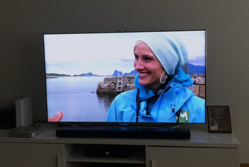 Monsen på villspor